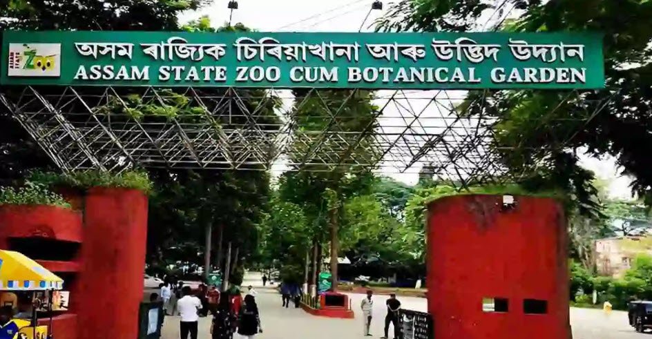Assam State Zoo-cum-Botanical Garden, Kamrup Metropolitan, Assam - Vushii.com Assam State Zoo-cum-Botanical Garden, Kamrup Metropolitan, Assam - Vushii.com